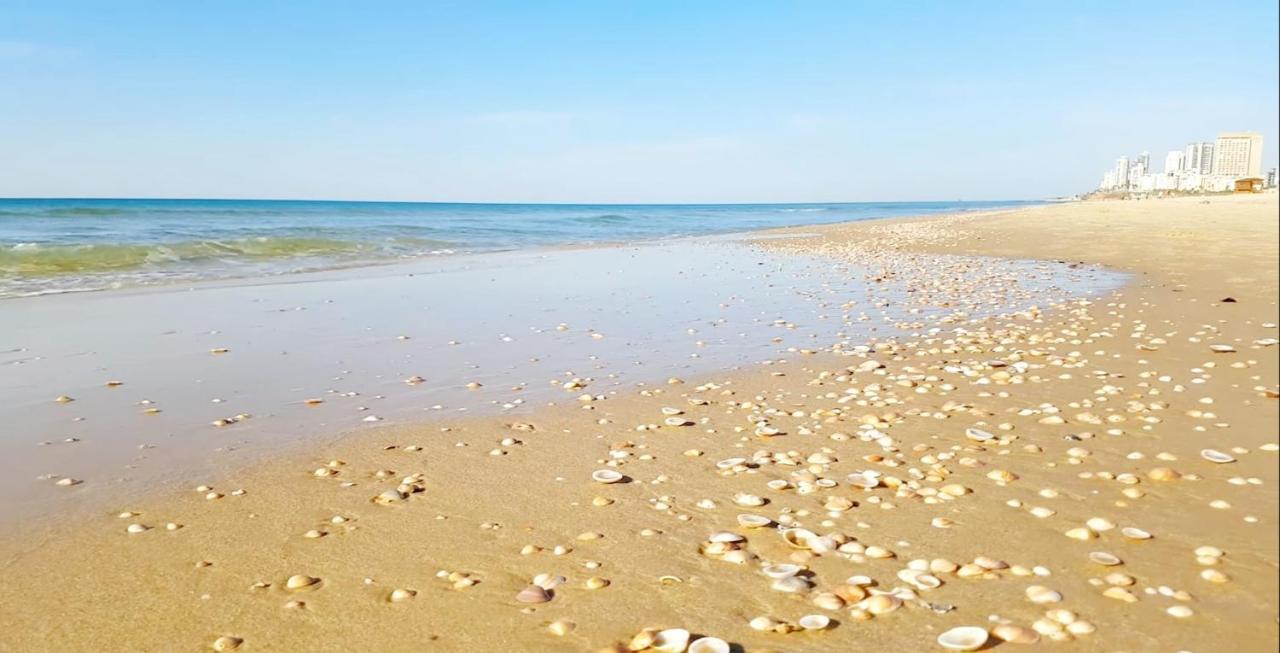 Hotel Apartment Short Term Tel Aviv Bat Yam 353 外观 照片
